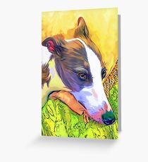 Whippet in Repose Pop Art Greeting Card
