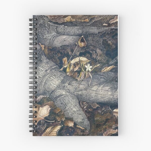 Item preview, Spring Beauty - Regionalism - Andrew Wyeth designed and sold by RemenarStudio.
