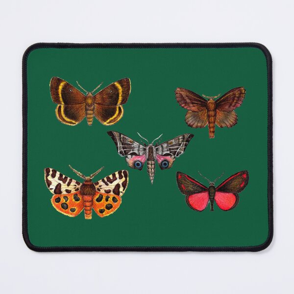 Item preview, Moth Collection designed and sold by Christina Plumb.