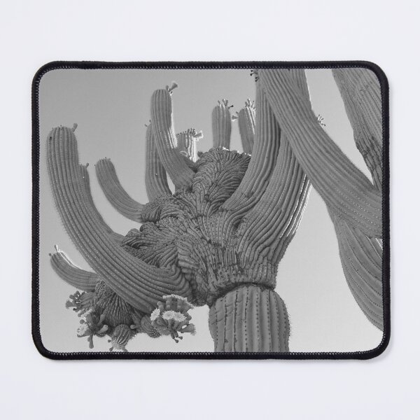 Item preview, Crested Saguaro Cactus Flowers Black And White designed and sold by simonjayphotos.