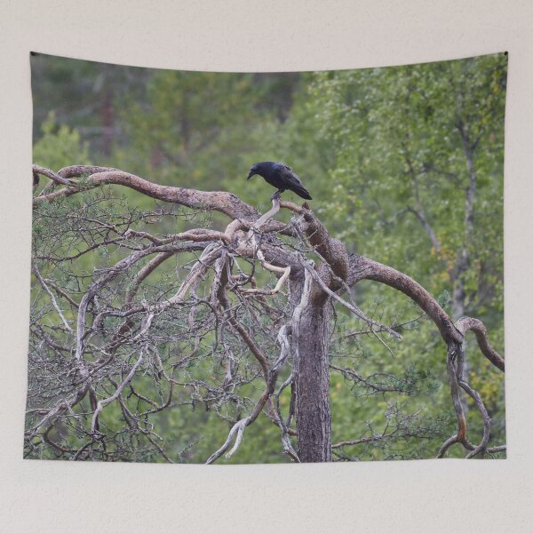 Item preview, Top life. Rraven designed and sold by Jouko Lehto Photography.
