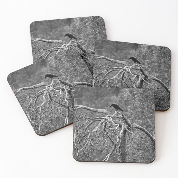 Item preview, Top life. Rraven bw designed and sold by Jouko Lehto Photography.