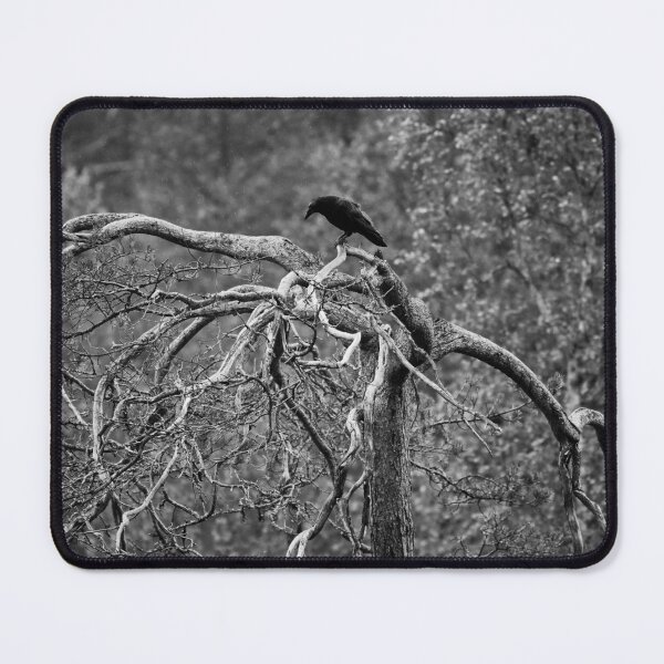 Item preview, Top life. Rraven bw designed and sold by Jouko Lehto Photography.