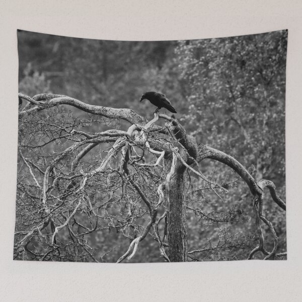 Item preview, Top life. Rraven bw designed and sold by Jouko Lehto Photography.