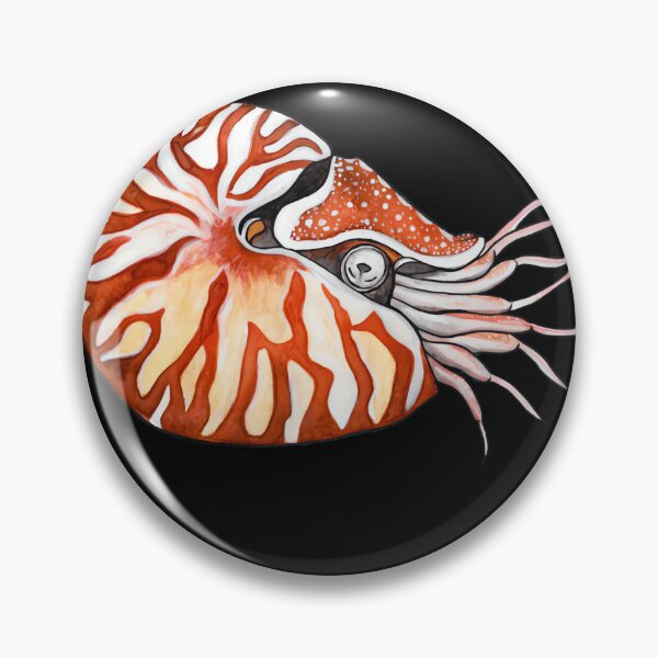 Artikelvorschau, Nautilus entworfen und verkauft von usuhmvjvwtp91.