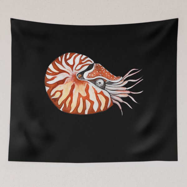 Item preview, Nautilus 	 designed and sold by usuhmvjvwtp91.