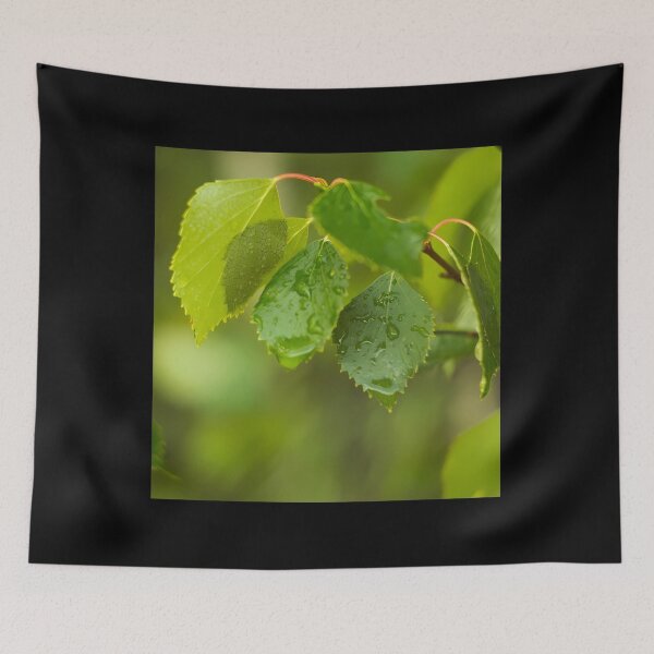 Item preview, water on leave background green leaf nature droplet rainning Long 	 designed and sold by stahpnxpjxr13.