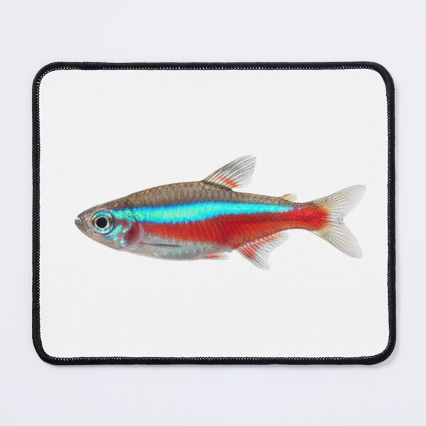 Item preview, Neon fish: Glowing aquarium jewel designed and sold by KnlDsgn.