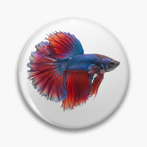 Item preview, Siamese fighting fish designed and sold by KnlDsgn.