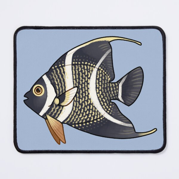 Item preview, French Angelfish designed and sold by Spadefish Art.