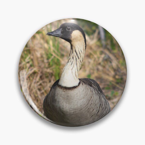 Item preview, Hawaiian Nēnē Goose – Endangered Island Beauty designed and sold by Seat2E.