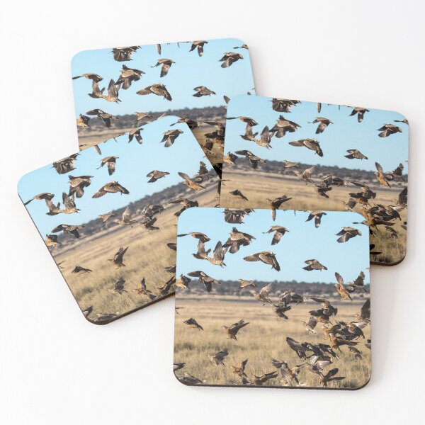Item preview, Explosion of Wings – Sandgrouse in Flight designed and sold by DavideAntoniani.