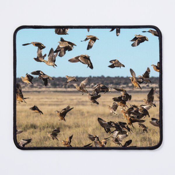 Item preview, Explosion of Wings – Sandgrouse in Flight designed and sold by DavideAntoniani.