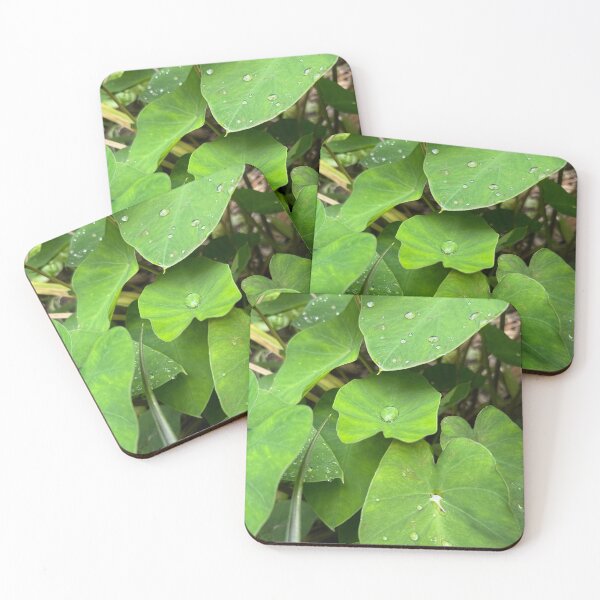 Item preview, Green Tropical Leaves with Raindrops designed and sold by TrisaThyme.