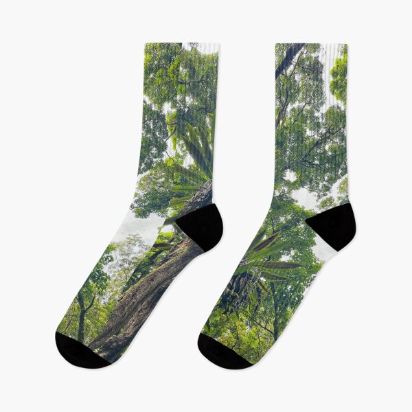 Item preview, Majestic Tropical Tree Canopy designed and sold by TrisaThyme.