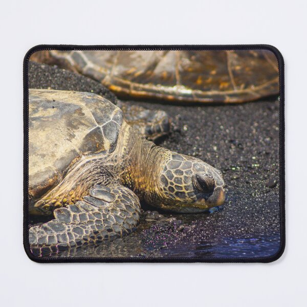 Item preview, Hawaiian Honu – Green Sea Turtle on Black Sand Beach designed and sold by Seat2E.
