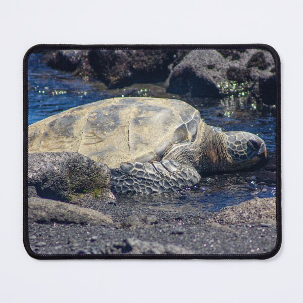 Item preview, Hawaiian Honu – Green Sea Turtle on Black Sand Beach designed and sold by Seat2E.
