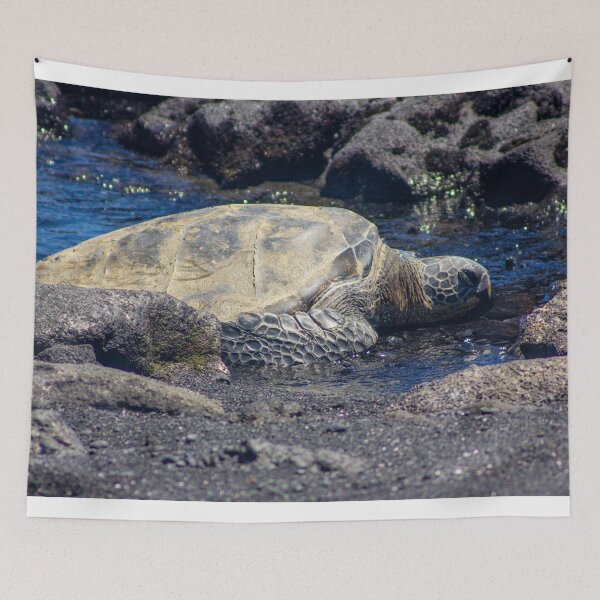 Item preview, Hawaiian Honu – Green Sea Turtle on Black Sand Beach designed and sold by Seat2E.