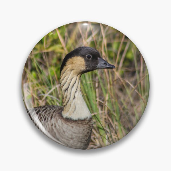 Item preview, Hawaiian Nēnē – Endangered Island Goose designed and sold by Seat2E.