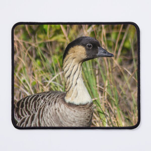 Item preview, Hawaiian Nēnē – Endangered Island Goose designed and sold by Seat2E.
