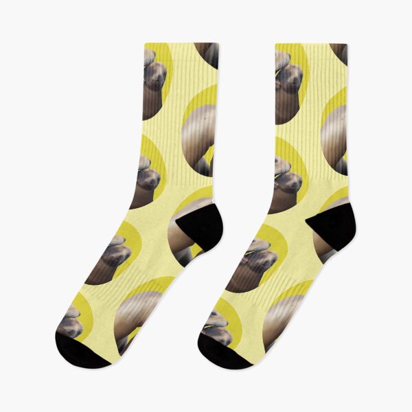 Item preview, Funny Mum and Pup Pakake (Sea Lions) on Yellow designed and sold by GivernyKate.