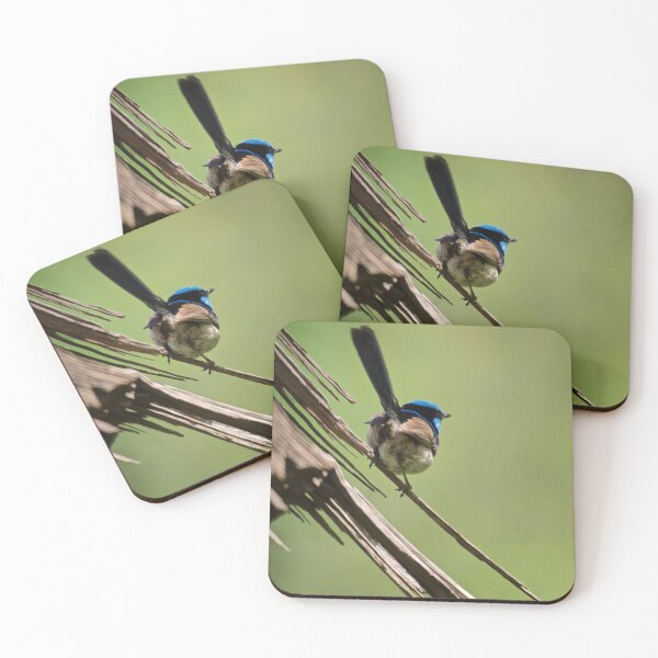 Item preview, Superb Fairy Wren II designed and sold by D-GaP.