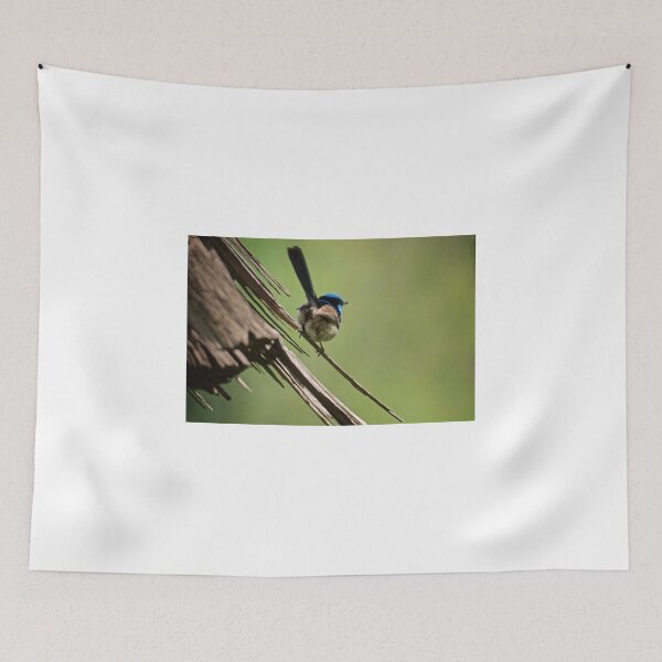 Item preview, Superb Fairy Wren II designed and sold by D-GaP.