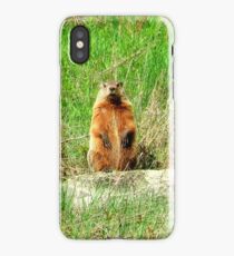 Groundhog iPhone Case