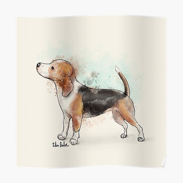 Watercolor Drawing of a Cute Beagle Poster