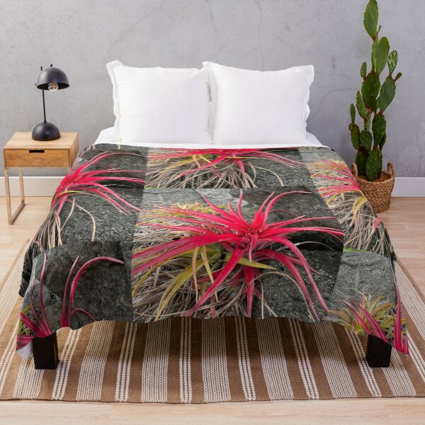 Item preview, Red Bromeliad Against Stone designed and sold by TrisaThyme.