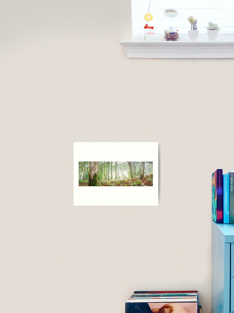 Thumbnail 2 of 3, Art Print, Woodland Morning, Mt Macedon, Victoria, Australia designed and sold by Chockstone.