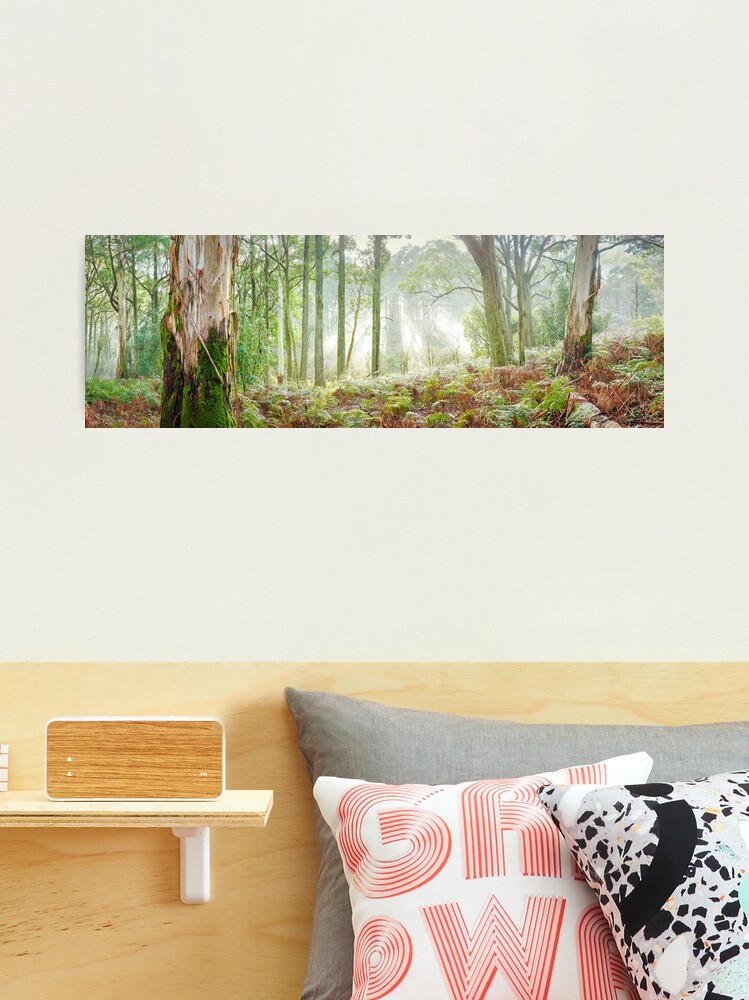 Thumbnail 2 of 3, Photographic Print, Woodland Morning, Mt Macedon, Victoria, Australia designed and sold by Chockstone.