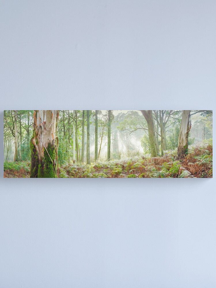 Thumbnail 1 of 3, Canvas Print, Woodland Morning, Mt Macedon, Victoria, Australia designed and sold by Chockstone.