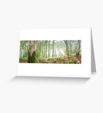 Woodland Morning, Mt Macedon, Victoria, Australia Greeting Card