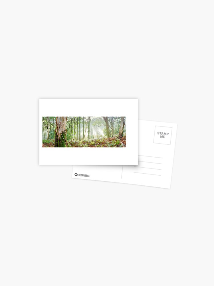 Thumbnail 1 of 2, Postcard, Woodland Morning, Mt Macedon, Victoria, Australia designed and sold by Chockstone.
