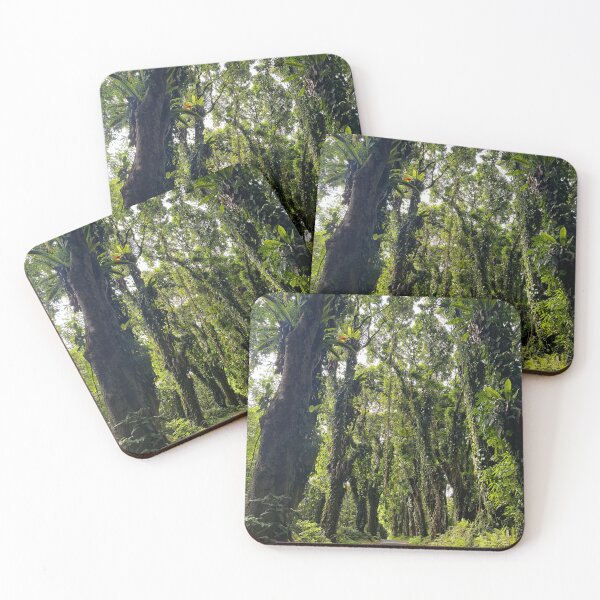 Item preview, Rainforest Road Canopy designed and sold by TrisaThyme.