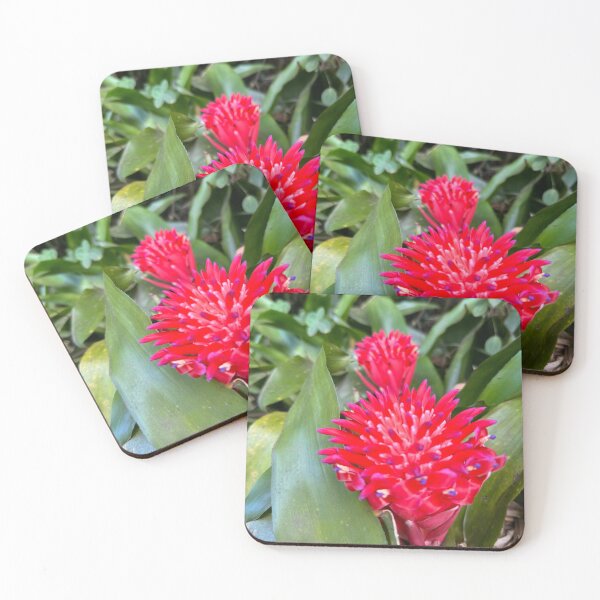 Item preview, Red Bromeliad Flower Close-Up designed and sold by TrisaThyme.