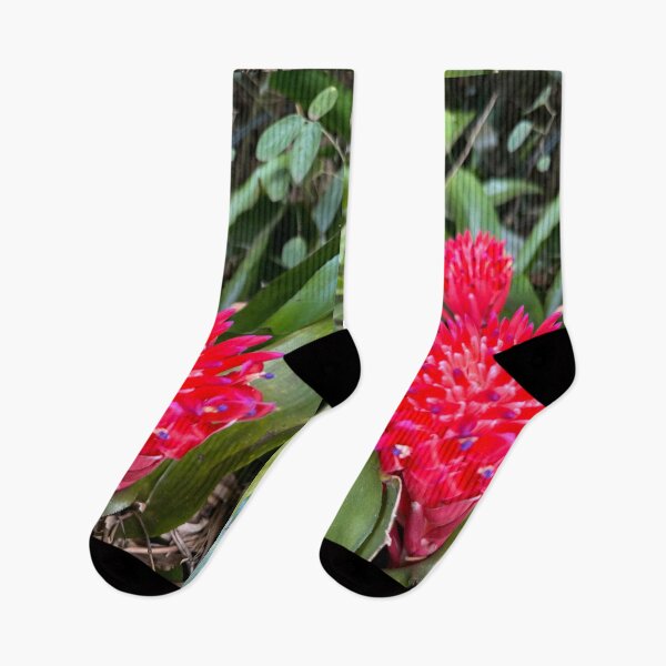 Item preview, Red Bromeliad Flower Close-Up designed and sold by TrisaThyme.
