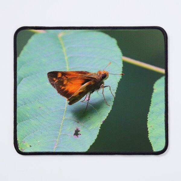 Item preview, Zabulon skipper designed and sold by Parks and X.