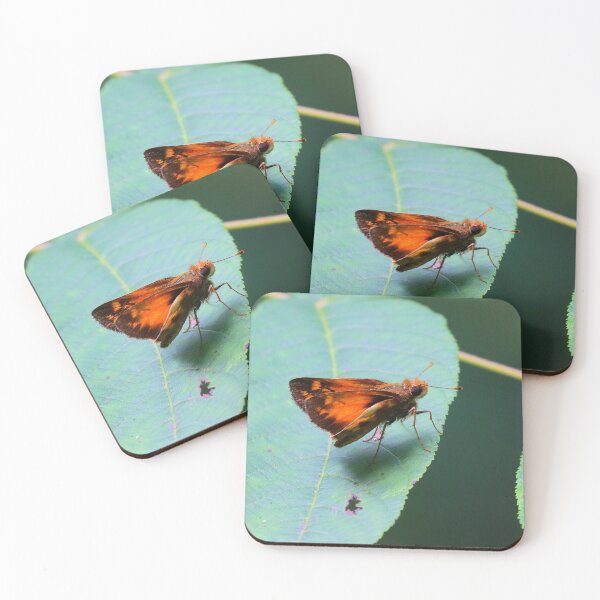 Item preview, Zabulon skipper designed and sold by Parks and X.