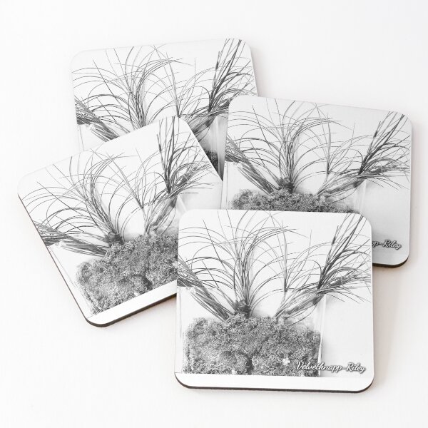 Item preview, My Grass. White. designed and sold by TouchofVelvet.
