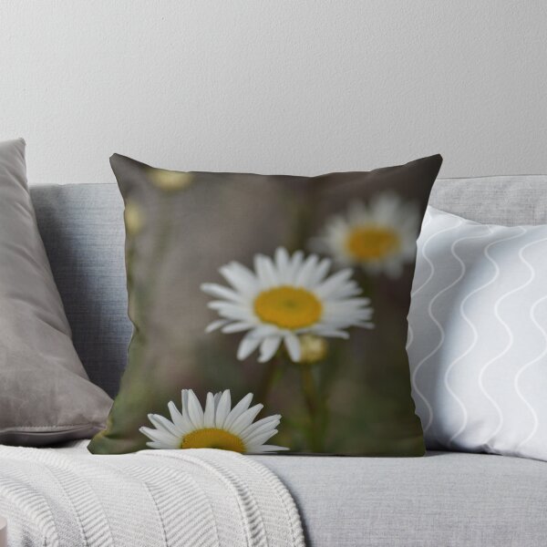Item preview, 4th in line designed and sold by Steve winters Photography.