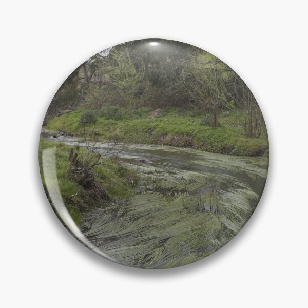 Item preview, Reedy creek designed and sold by athexphoto.