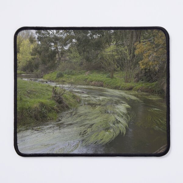 Item preview, Reedy creek designed and sold by athexphoto.