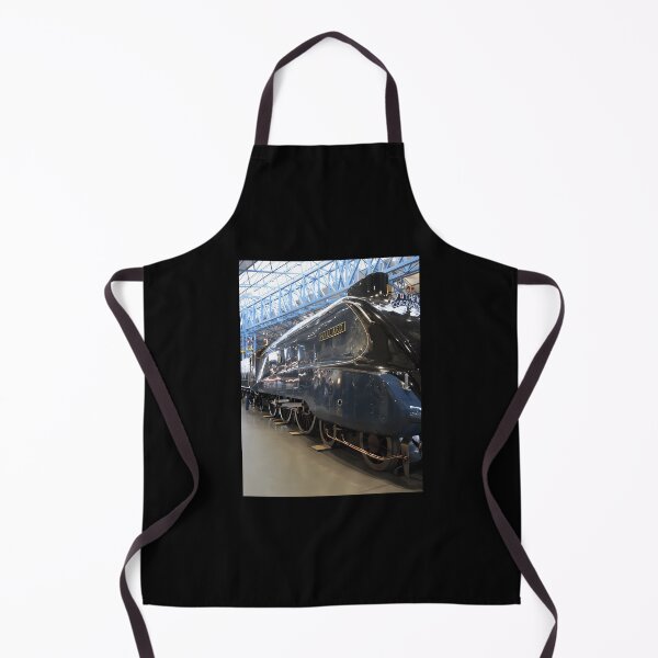 Item preview, The Mallard At York Railway Museum 2010 designed and sold by ywukuelc57.