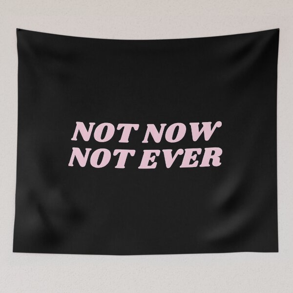 Item preview, Not Now Not Ever Julia Guillard Misogyny  Classic 		 designed and sold by wcgjnohx41.