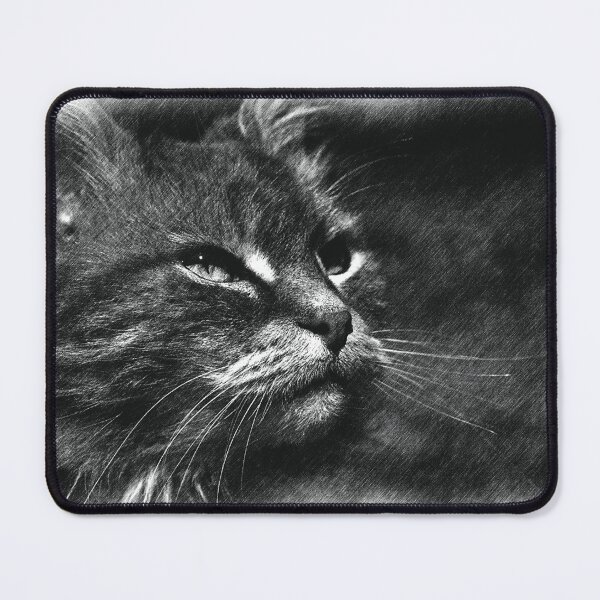 Item preview, A Noble Cat in Monochrome designed and sold by Joy Watson - Natural Light Photography .