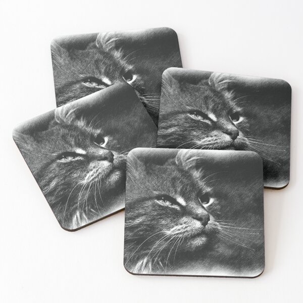 Item preview, A Noble Cat in Monochrome designed and sold by Joy Watson - Natural Light Photography .