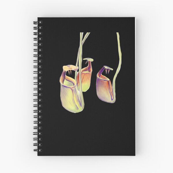 Item preview, Nepenthes Bicalcarata  Carnivorous Plant  Pitcher Plant  	 designed and sold by rxaldabjoxr38.