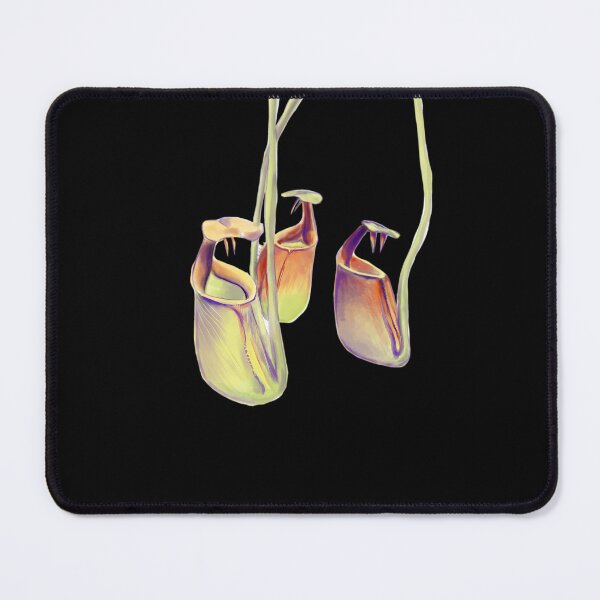 Item preview, Nepenthes Bicalcarata  Carnivorous Plant  Pitcher Plant  	 designed and sold by rxaldabjoxr38.